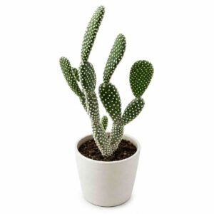a1188