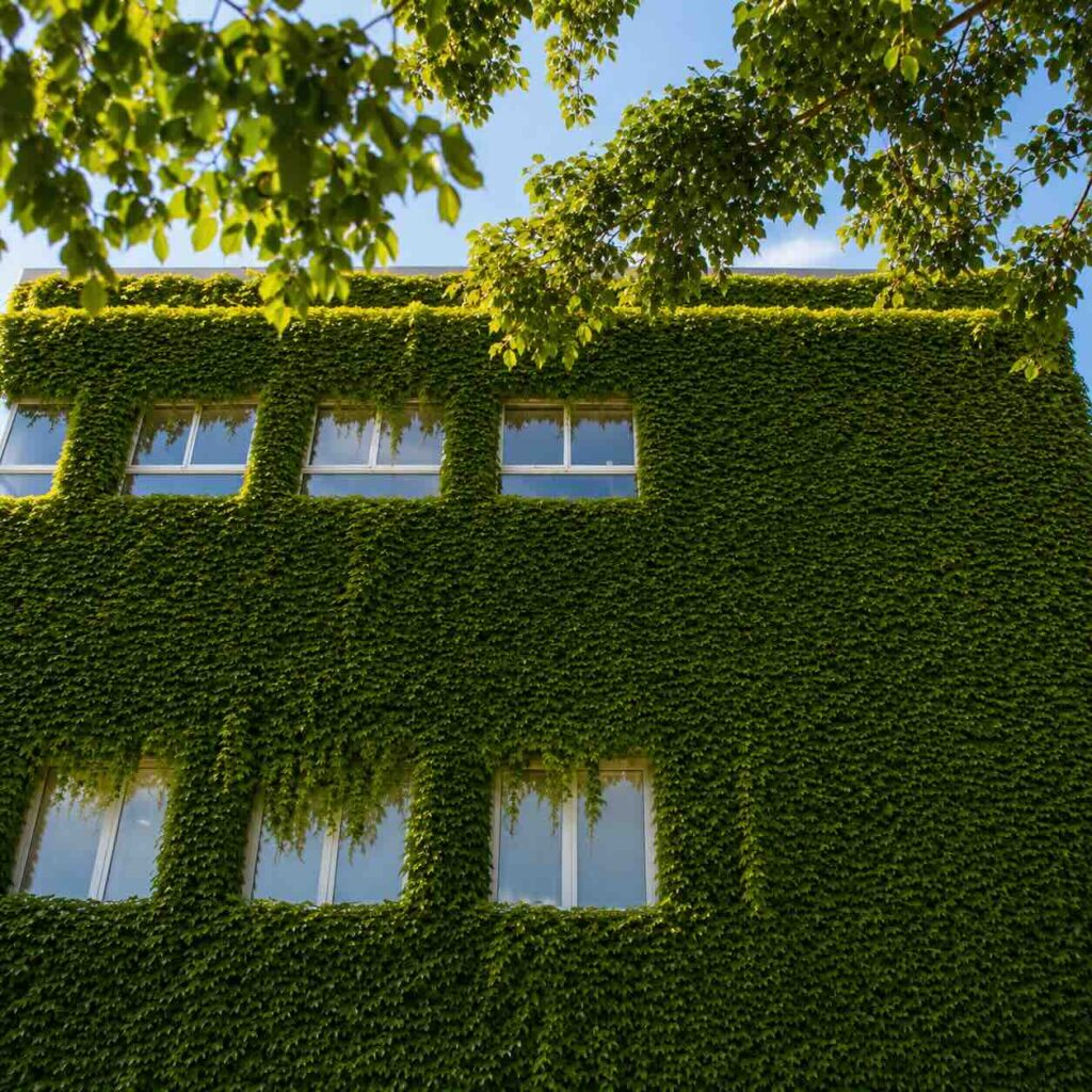 Landscape Projects al yarz country club yarzeh 1