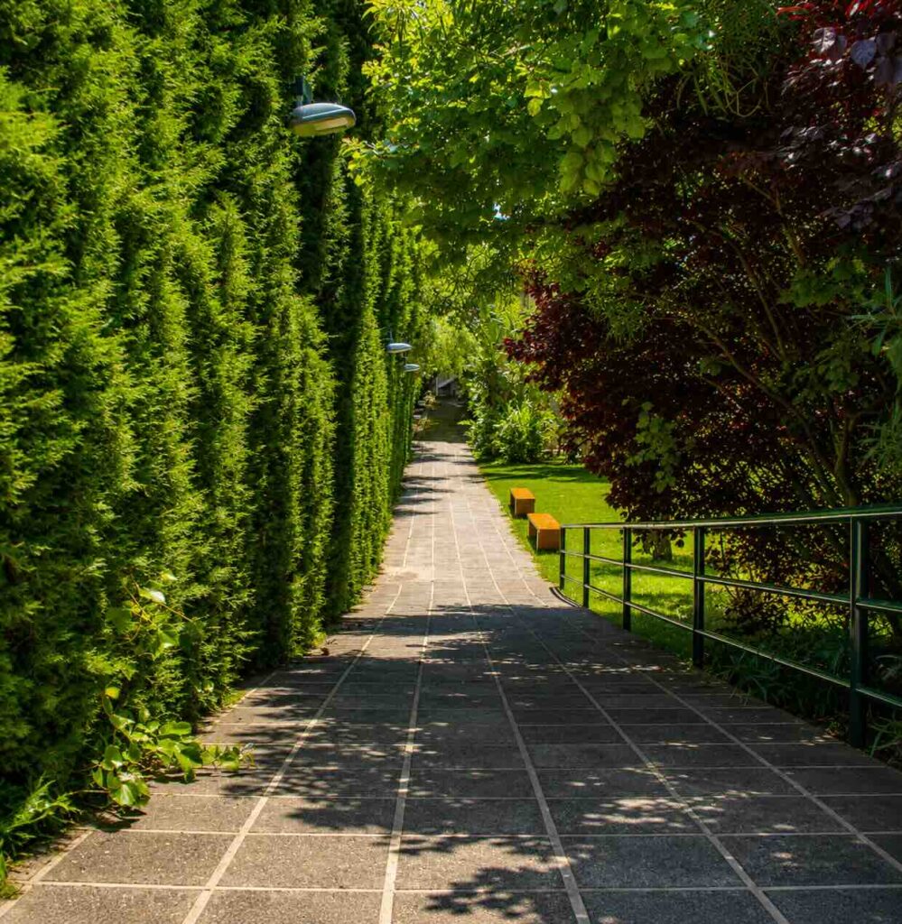 Landscape Projects al yarz country club yarzeh 3