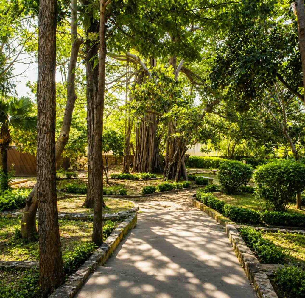 Landscape Projects botanical garden damascus road