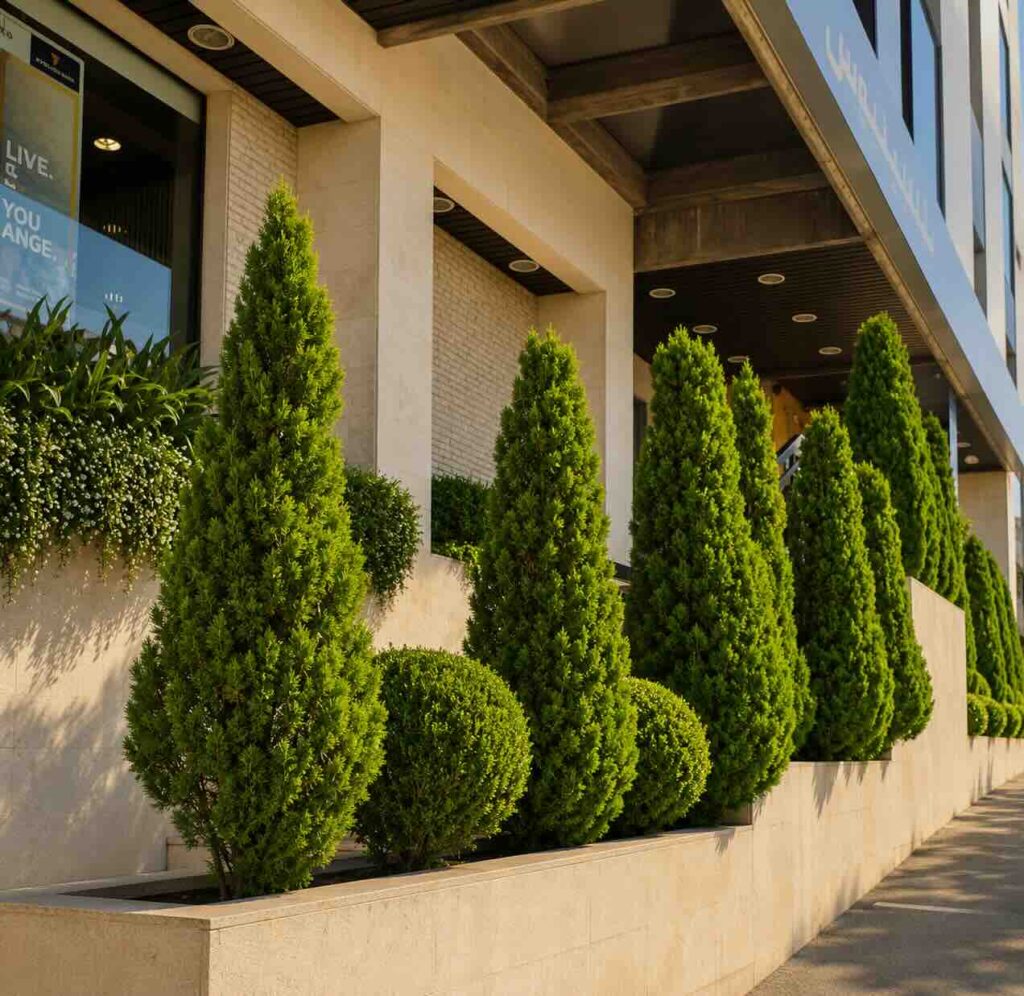 Landscape Projects byblos bank kfarhbab