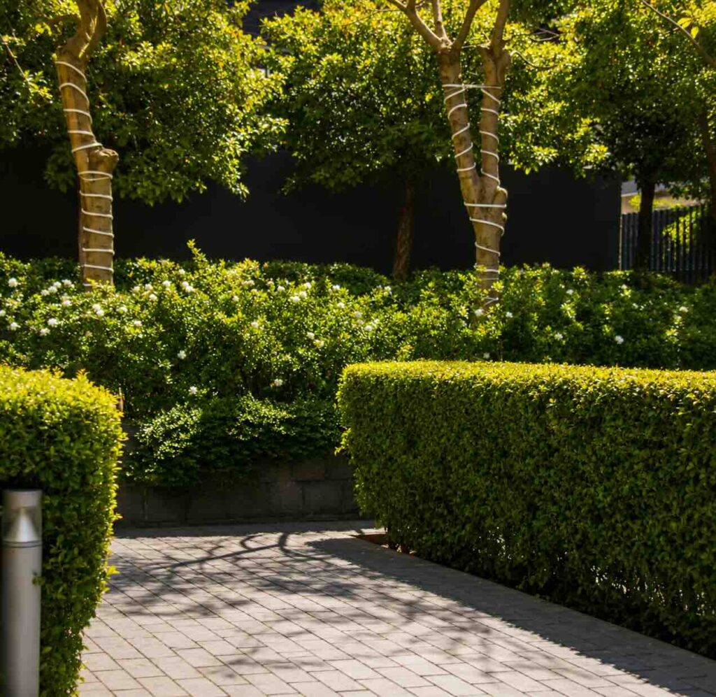 Landscape Projects parkside sioufi