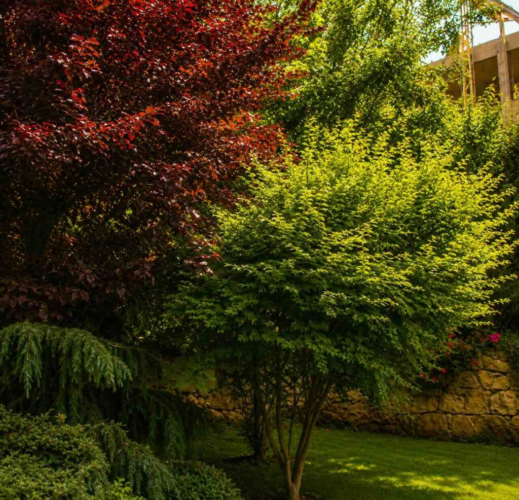 Landscape Projects residence aley 2