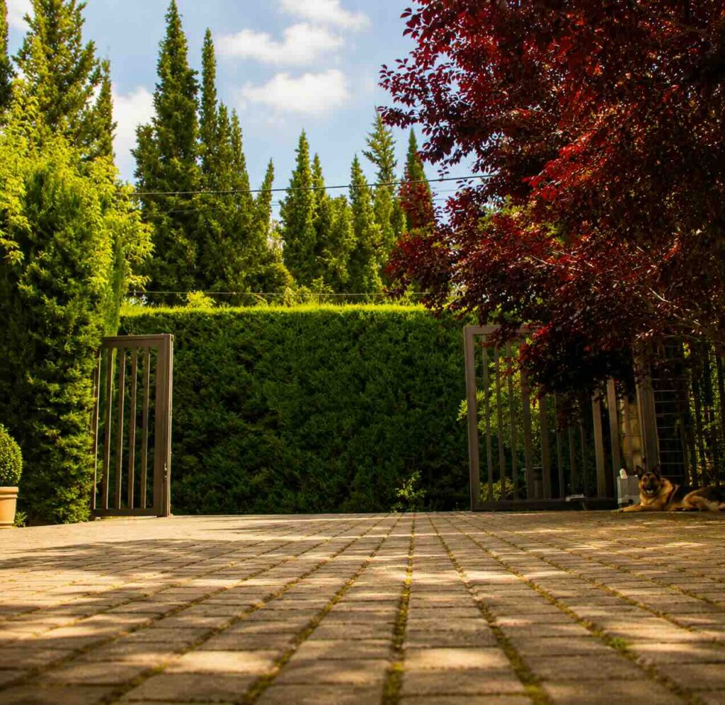 Landscape Projects residence aley 3
