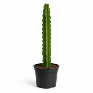 a0936