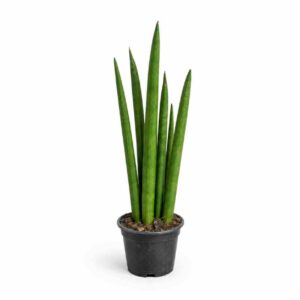 a0401
